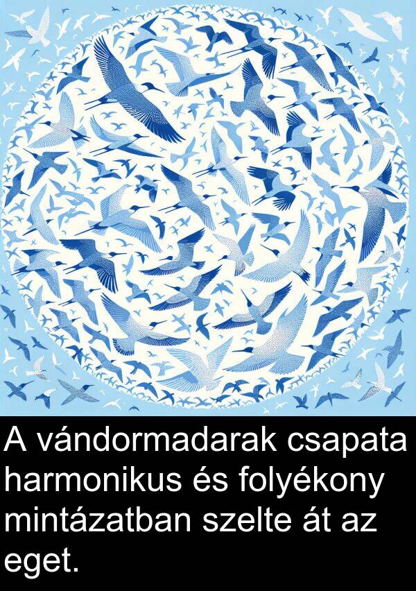 csapata: A vándormadarak csapata harmonikus és folyékony mintázatban szelte át az eget.