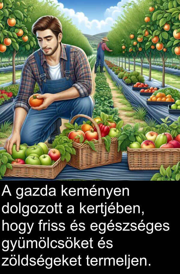zöldségeket: A gazda keményen dolgozott a kertjében, hogy friss és egészséges gyümölcsöket és zöldségeket termeljen.