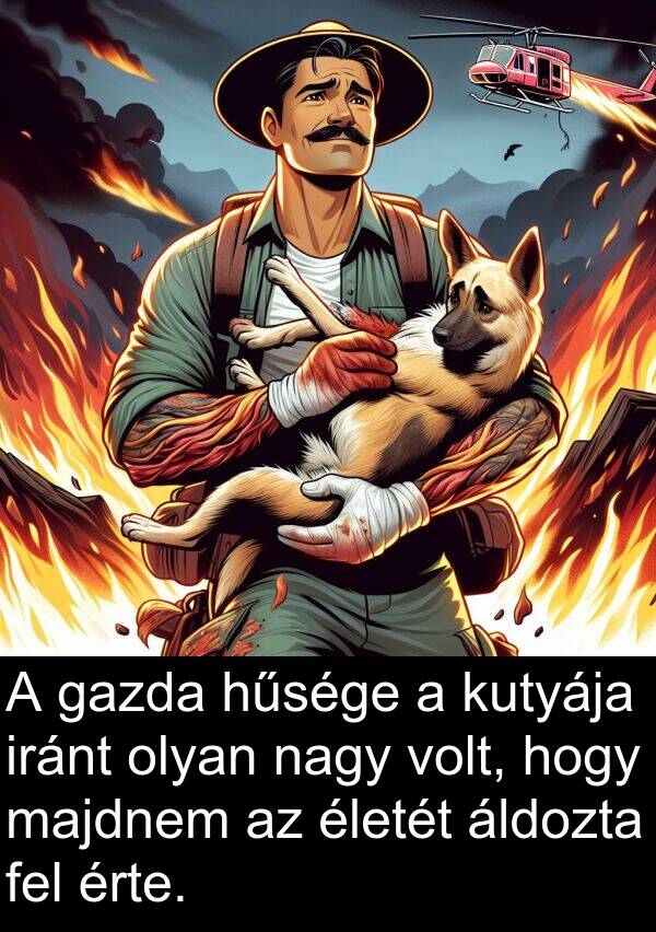 majdnem: A gazda hűsége a kutyája iránt olyan nagy volt, hogy majdnem az életét áldozta fel érte.