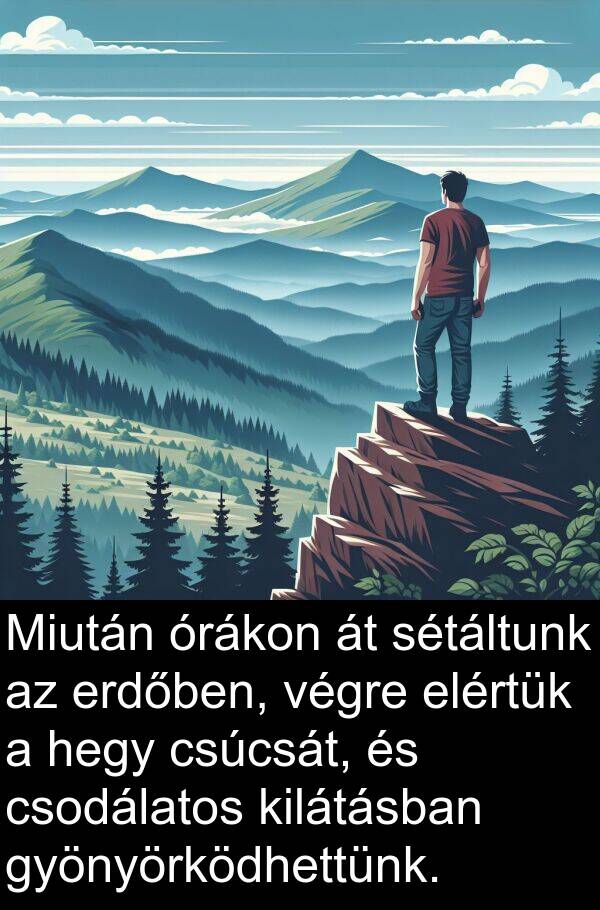 csúcsát: Miután órákon át sétáltunk az erdőben, végre elértük a hegy csúcsát, és csodálatos kilátásban gyönyörködhettünk.
