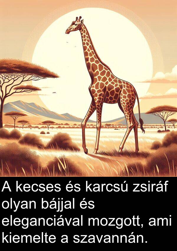 mozgott: A kecses és karcsú zsiráf olyan bájjal és eleganciával mozgott, ami kiemelte a szavannán.