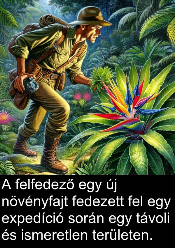 távoli: A felfedező egy új növényfajt fedezett fel egy expedíció során egy távoli és ismeretlen területen.