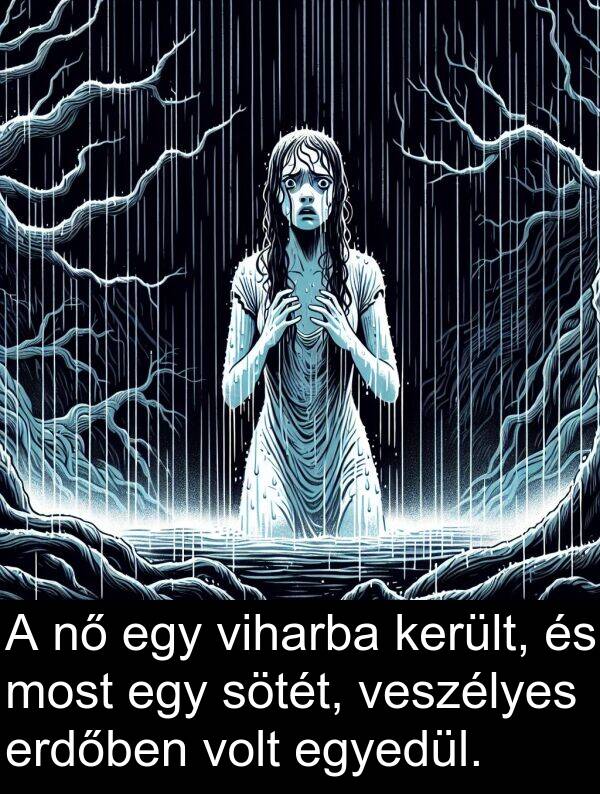 sötét: A nő egy viharba került, és most egy sötét, veszélyes erdőben volt egyedül.