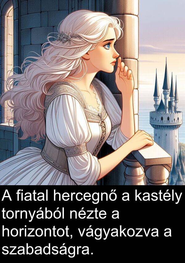 hercegnő: A fiatal hercegnő a kastély tornyából nézte a horizontot, vágyakozva a szabadságra.