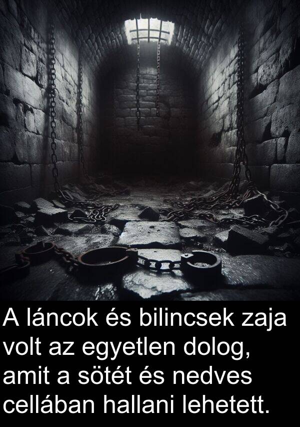 cellában: A láncok és bilincsek zaja volt az egyetlen dolog, amit a sötét és nedves cellában hallani lehetett.