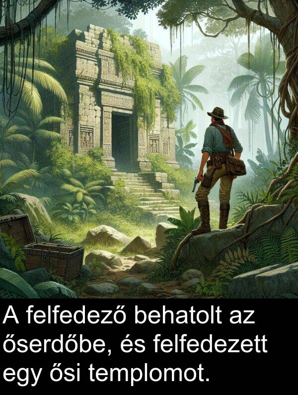 behatolt: A felfedező behatolt az őserdőbe, és felfedezett egy ősi templomot.