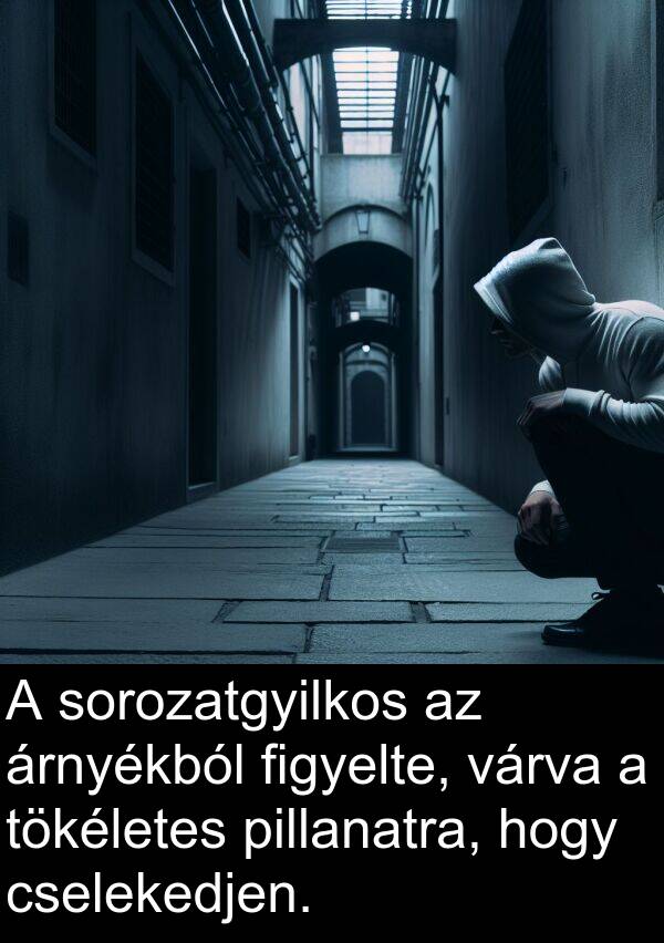 pillanatra: A sorozatgyilkos az árnyékból figyelte, várva a tökéletes pillanatra, hogy cselekedjen.