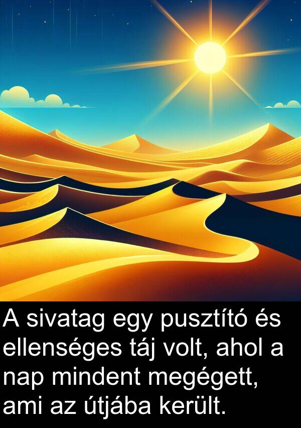 táj: A sivatag egy pusztító és ellenséges táj volt, ahol a nap mindent megégett, ami az útjába került.