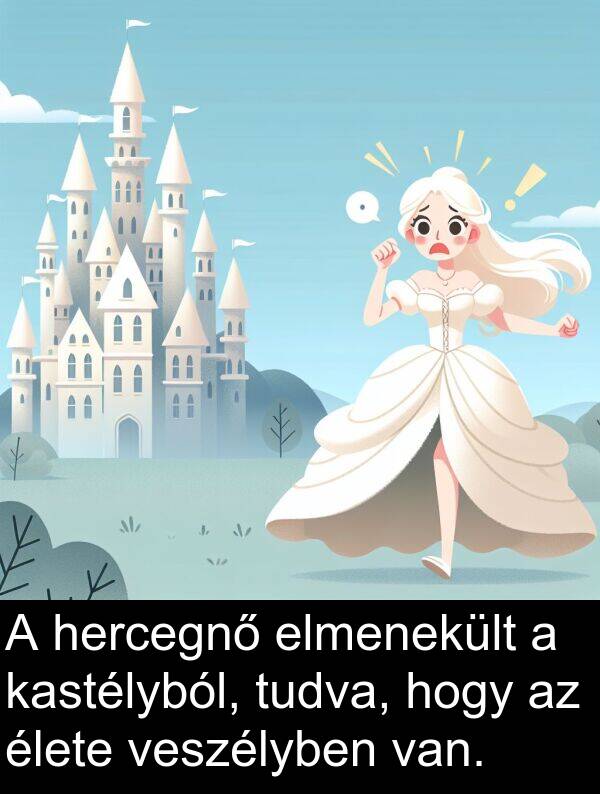 hercegnő: A hercegnő elmenekült a kastélyból, tudva, hogy az élete veszélyben van.