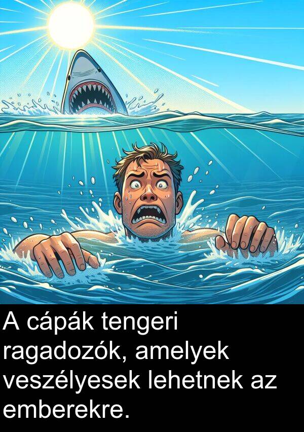 cápák: A cápák tengeri ragadozók, amelyek veszélyesek lehetnek az emberekre.