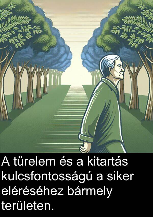 türelem: A türelem és a kitartás kulcsfontosságú a siker eléréséhez bármely területen.