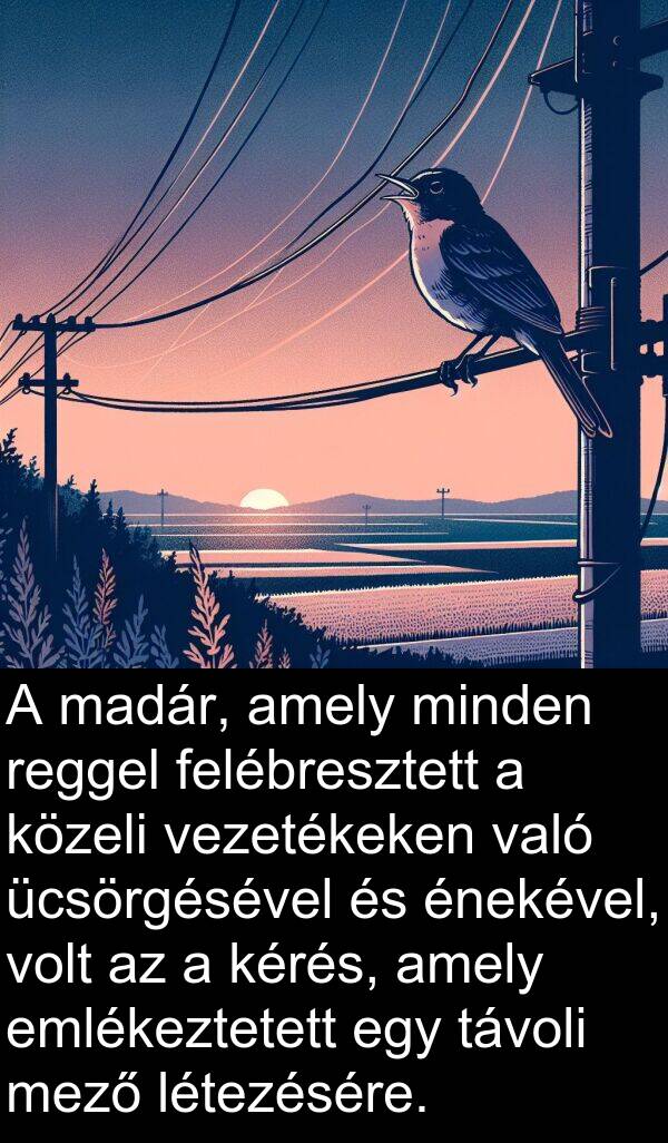 madár: A madár, amely minden reggel felébresztett a közeli vezetékeken való ücsörgésével és énekével, volt az a kérés, amely emlékeztetett egy távoli mező létezésére.