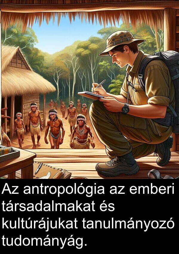 társadalmakat: Az antropológia az emberi társadalmakat és kultúrájukat tanulmányozó tudományág.