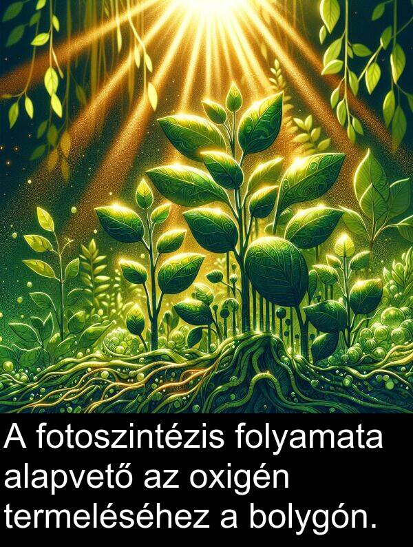 termeléséhez: A fotoszintézis folyamata alapvető az oxigén termeléséhez a bolygón.