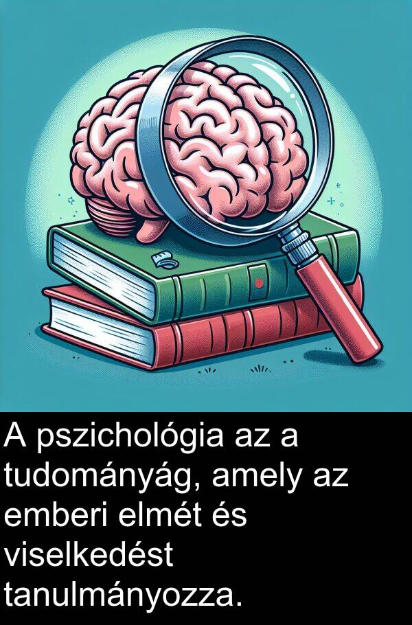 pszichológia: A pszichológia az a tudományág, amely az emberi elmét és viselkedést tanulmányozza.