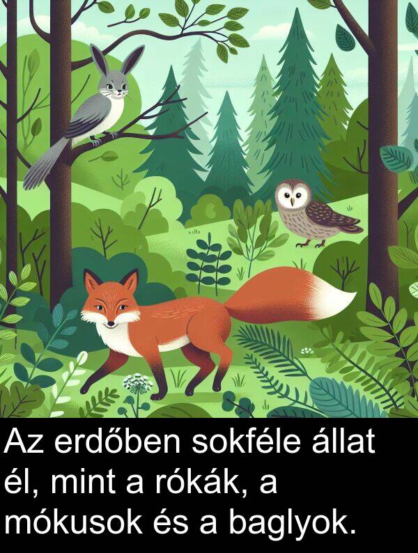 mint: Az erdőben sokféle állat él, mint a rókák, a mókusok és a baglyok.