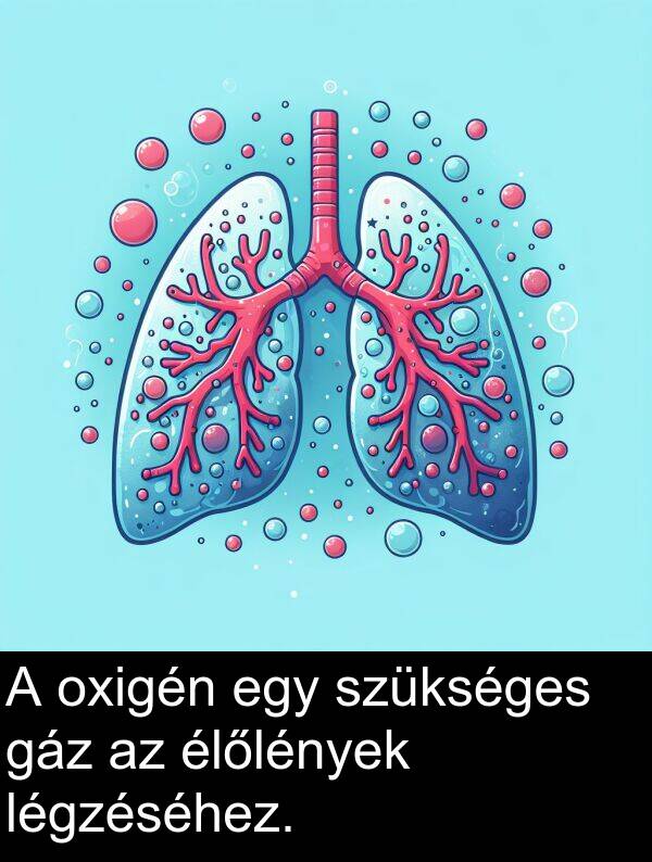 szükséges: A oxigén egy szükséges gáz az élőlények légzéséhez.