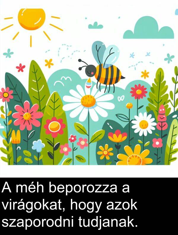 szaporodni: A méh beporozza a virágokat, hogy azok szaporodni tudjanak.