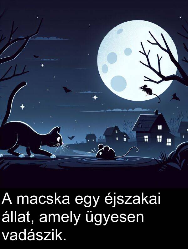 macska: A macska egy éjszakai állat, amely ügyesen vadászik.