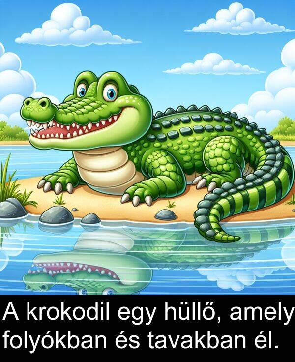 hüllő: A krokodil egy hüllő, amely folyókban és tavakban él.