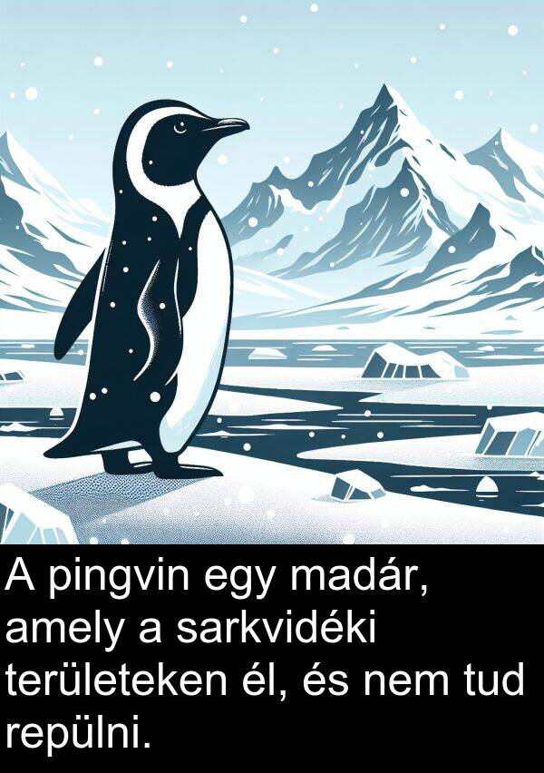 madár: A pingvin egy madár, amely a sarkvidéki területeken él, és nem tud repülni.