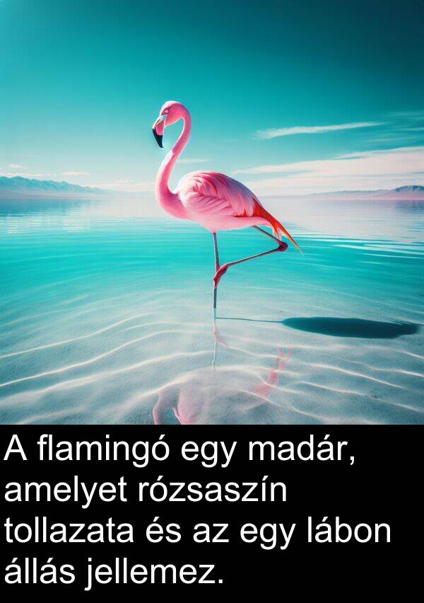 madár: A flamingó egy madár, amelyet rózsaszín tollazata és az egy lábon állás jellemez.