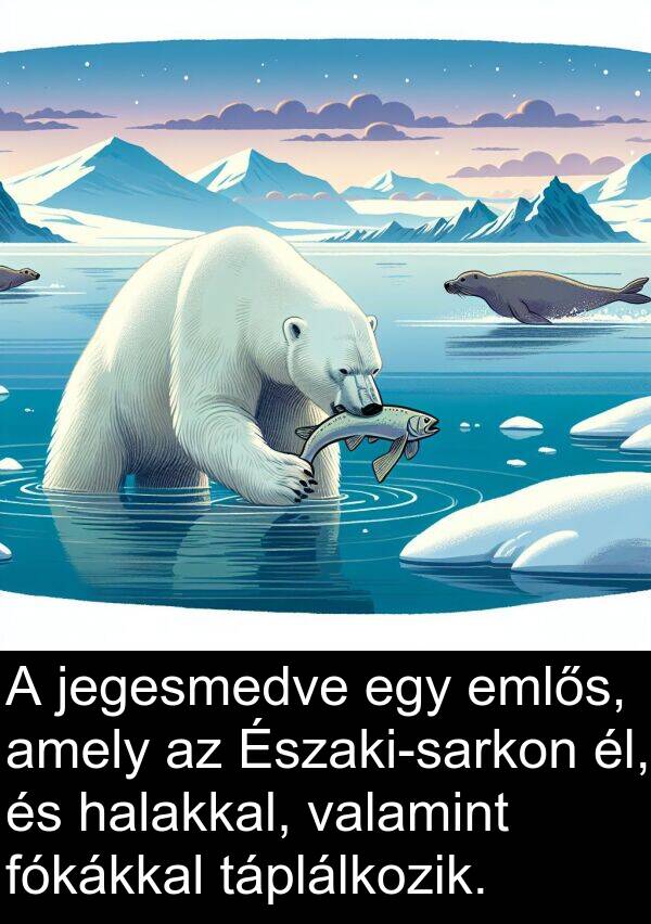 valamint: A jegesmedve egy emlős, amely az Északi-sarkon él, és halakkal, valamint fókákkal táplálkozik.