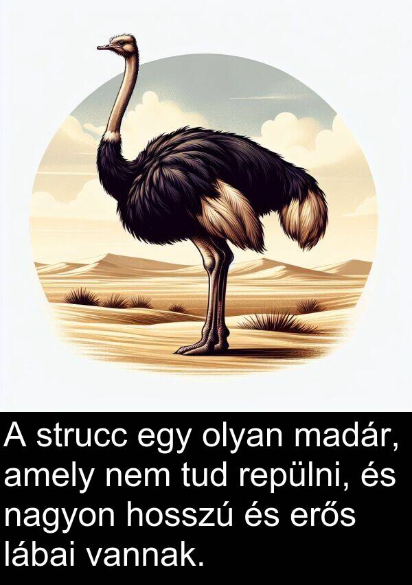 madár: A strucc egy olyan madár, amely nem tud repülni, és nagyon hosszú és erős lábai vannak.