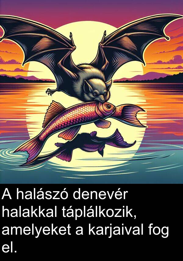 denevér: A halászó denevér halakkal táplálkozik, amelyeket a karjaival fog el.