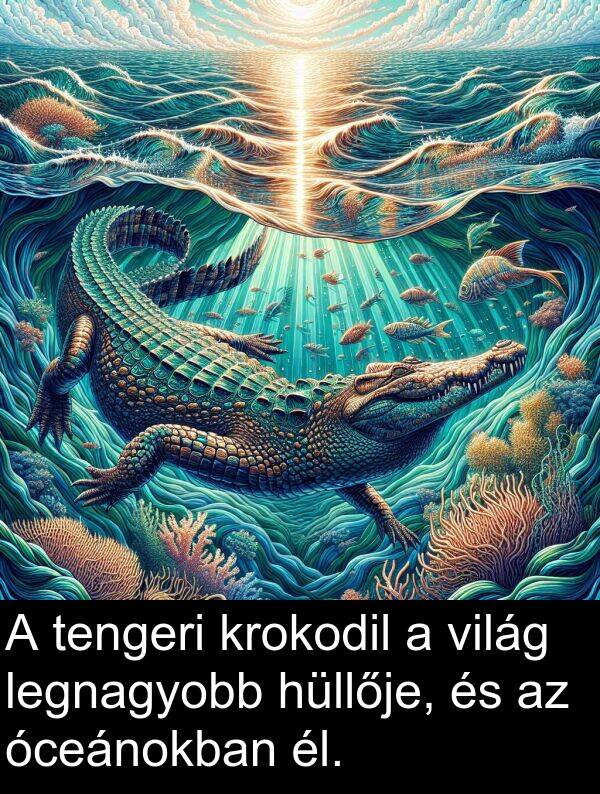 óceánokban: A tengeri krokodil a világ legnagyobb hüllője, és az óceánokban él.