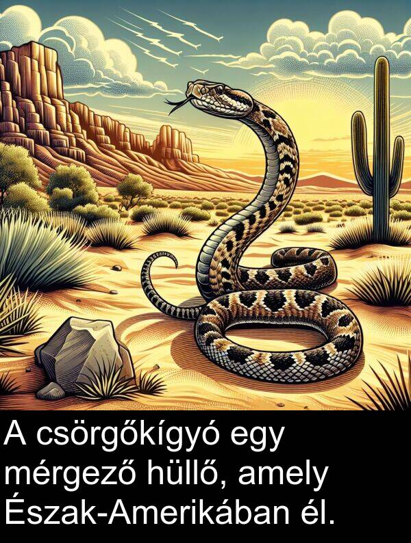 mérgező: A csörgőkígyó egy mérgező hüllő, amely Észak-Amerikában él.