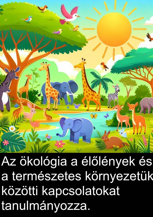 ökológia: Az ökológia a élőlények és a természetes környezetük közötti kapcsolatokat tanulmányozza.