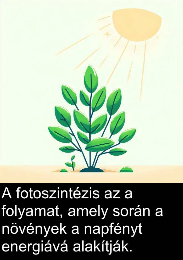 napfényt: A fotoszintézis az a folyamat, amely során a növények a napfényt energiává alakítják.