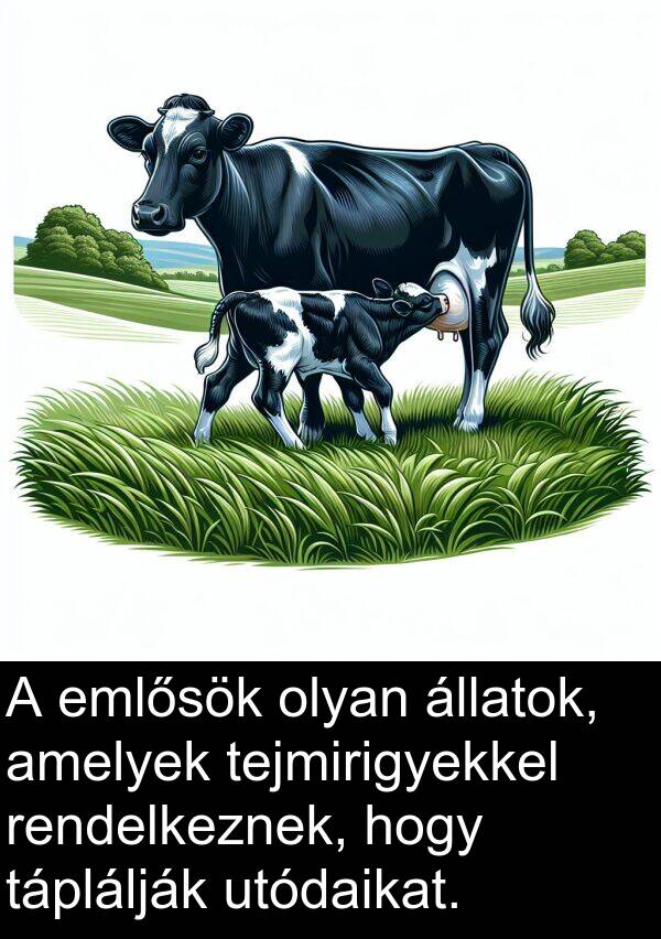 utódaikat: A emlősök olyan állatok, amelyek tejmirigyekkel rendelkeznek, hogy táplálják utódaikat.