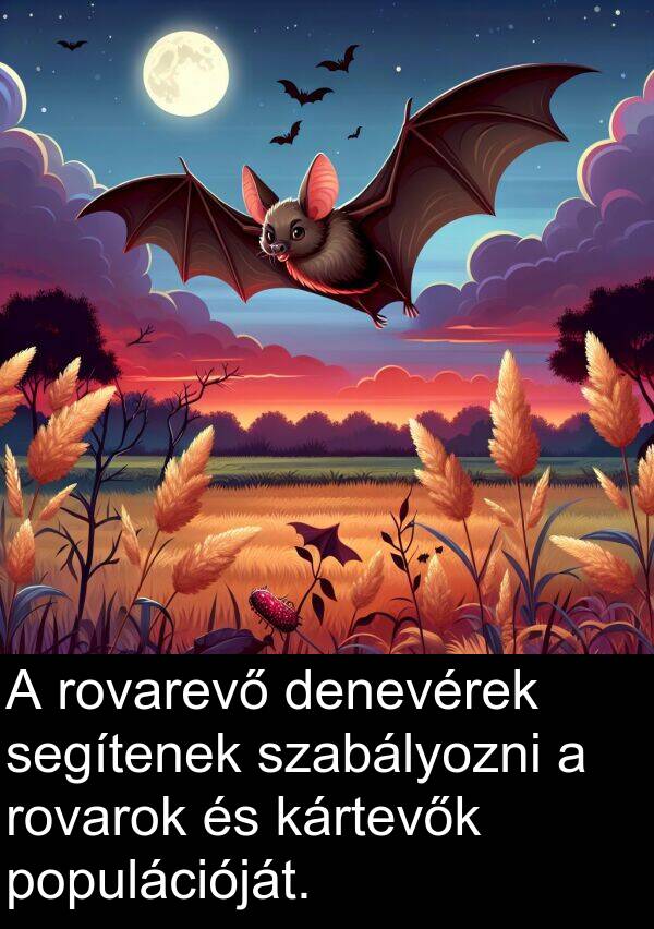 segítenek: A rovarevő denevérek segítenek szabályozni a rovarok és kártevők populációját.