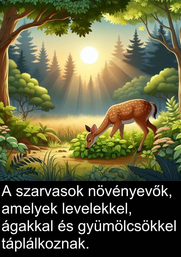 táplálkoznak: A szarvasok növényevők, amelyek levelekkel, ágakkal és gyümölcsökkel táplálkoznak.
