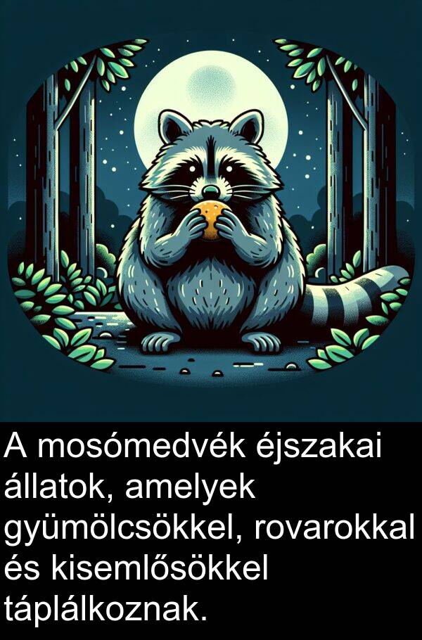 mosómedvék: A mosómedvék éjszakai állatok, amelyek gyümölcsökkel, rovarokkal és kisemlősökkel táplálkoznak.