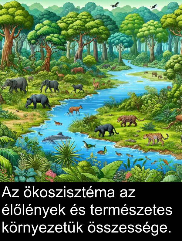 ökoszisztéma: Az ökoszisztéma az élőlények és természetes környezetük összessége.