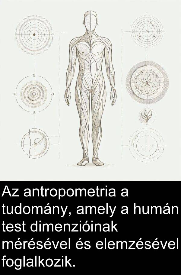 mérésével: Az antropometria a tudomány, amely a humán test dimenzióinak mérésével és elemzésével foglalkozik.