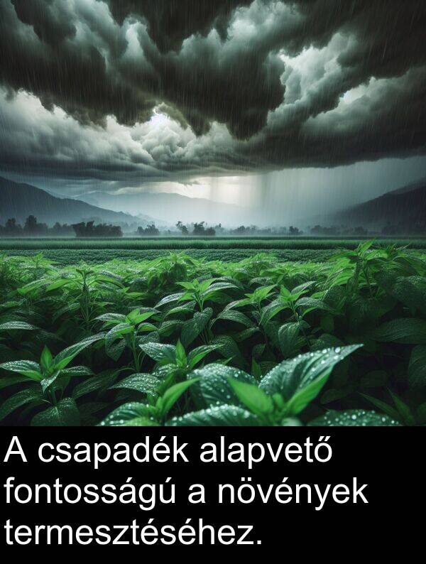 csapadék: A csapadék alapvető fontosságú a növények termesztéséhez.