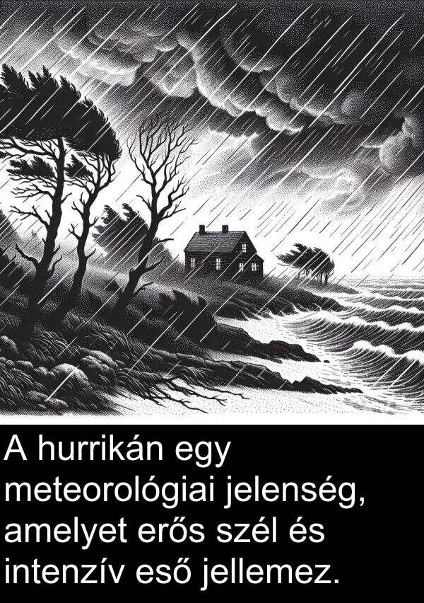 meteorológiai: A hurrikán egy meteorológiai jelenség, amelyet erős szél és intenzív eső jellemez.