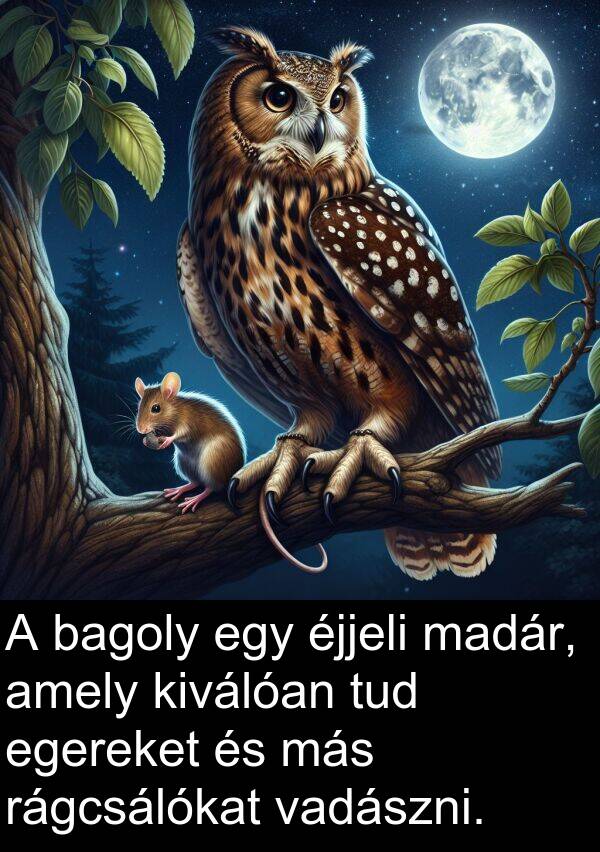 madár: A bagoly egy éjjeli madár, amely kiválóan tud egereket és más rágcsálókat vadászni.