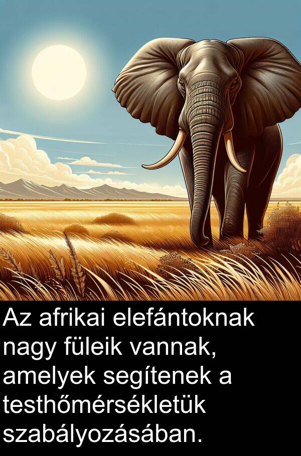 segítenek: Az afrikai elefántoknak nagy füleik vannak, amelyek segítenek a testhőmérsékletük szabályozásában.