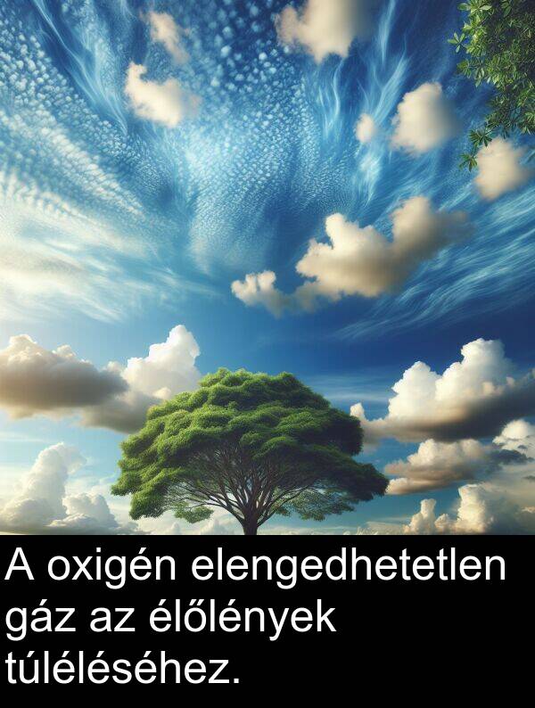 túléléséhez: A oxigén elengedhetetlen gáz az élőlények túléléséhez.
