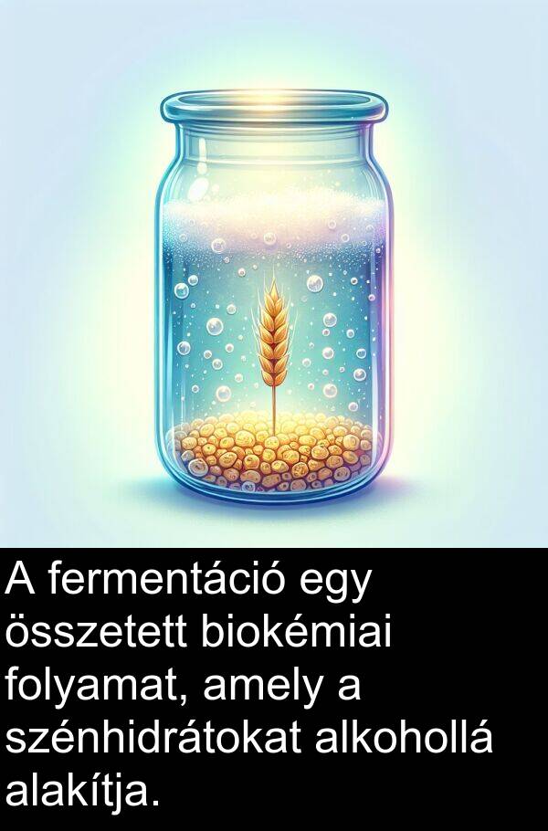 összetett: A fermentáció egy összetett biokémiai folyamat, amely a szénhidrátokat alkohollá alakítja.