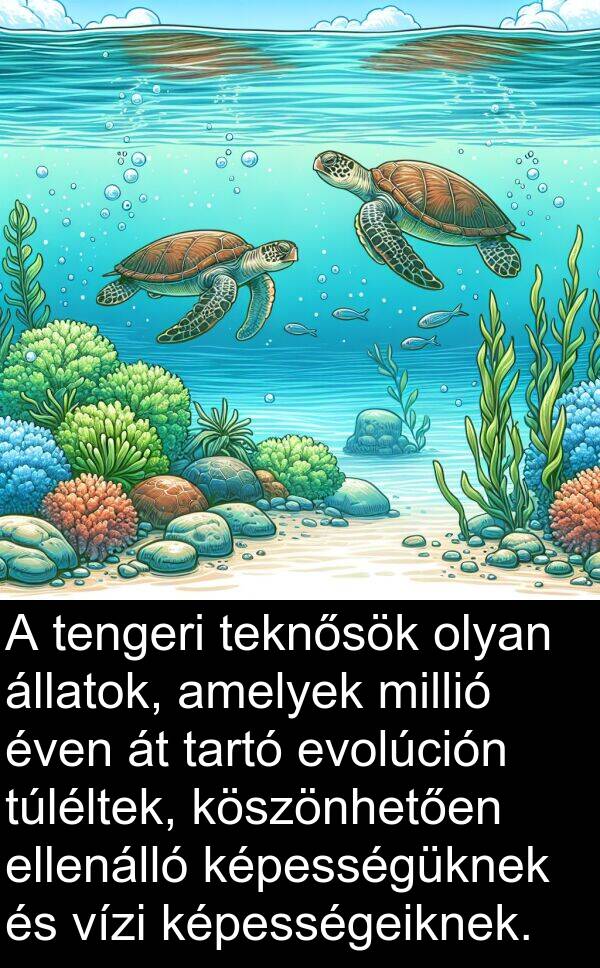 millió: A tengeri teknősök olyan állatok, amelyek millió éven át tartó evolúción túléltek, köszönhetően ellenálló képességüknek és vízi képességeiknek.