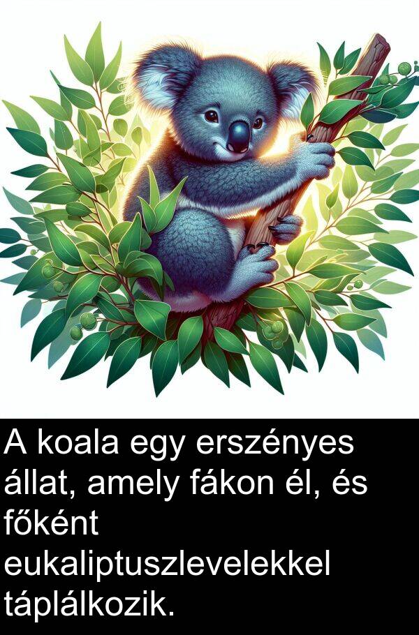 állat: A koala egy erszényes állat, amely fákon él, és főként eukaliptuszlevelekkel táplálkozik.