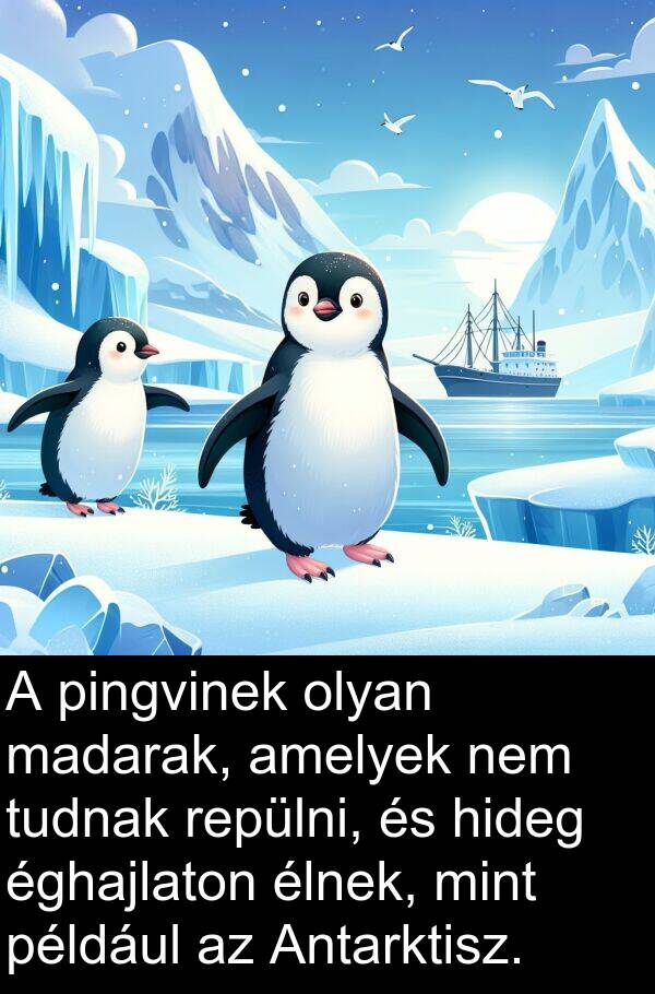 madarak: A pingvinek olyan madarak, amelyek nem tudnak repülni, és hideg éghajlaton élnek, mint például az Antarktisz.