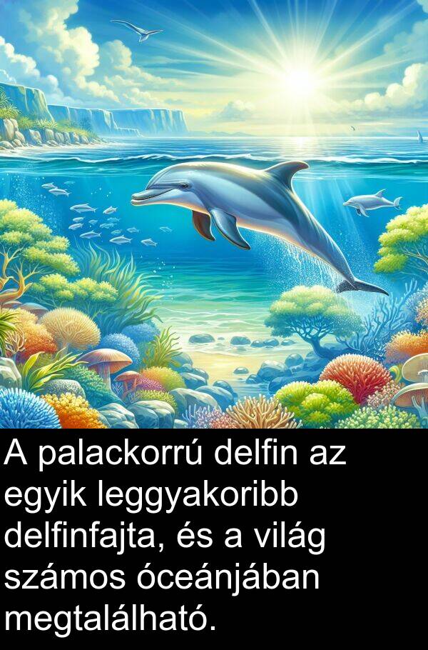 delfinfajta: A palackorrú delfin az egyik leggyakoribb delfinfajta, és a világ számos óceánjában megtalálható.