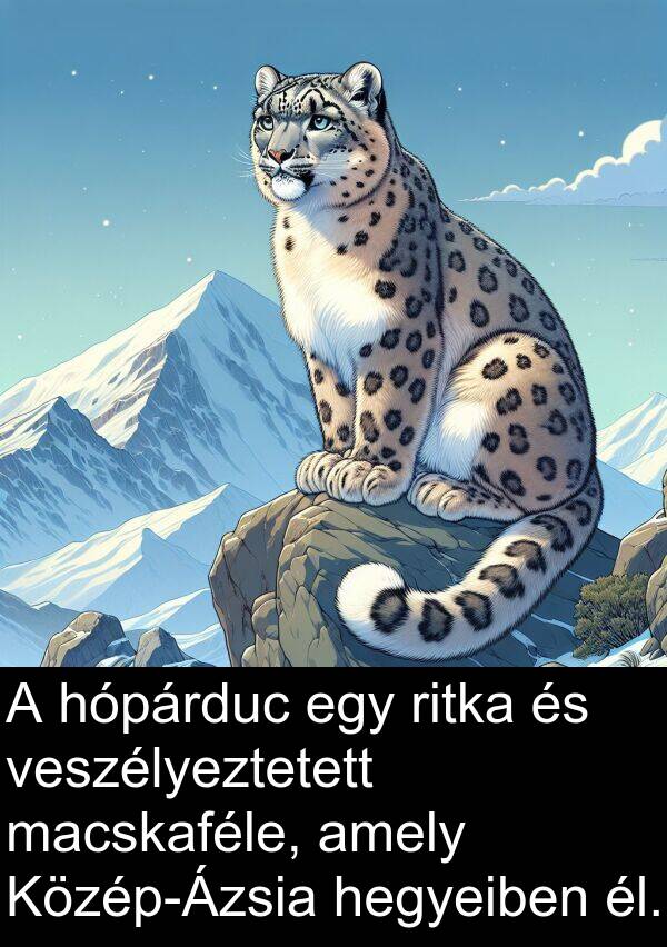 macskaféle: A hópárduc egy ritka és veszélyeztetett macskaféle, amely Közép-Ázsia hegyeiben él.